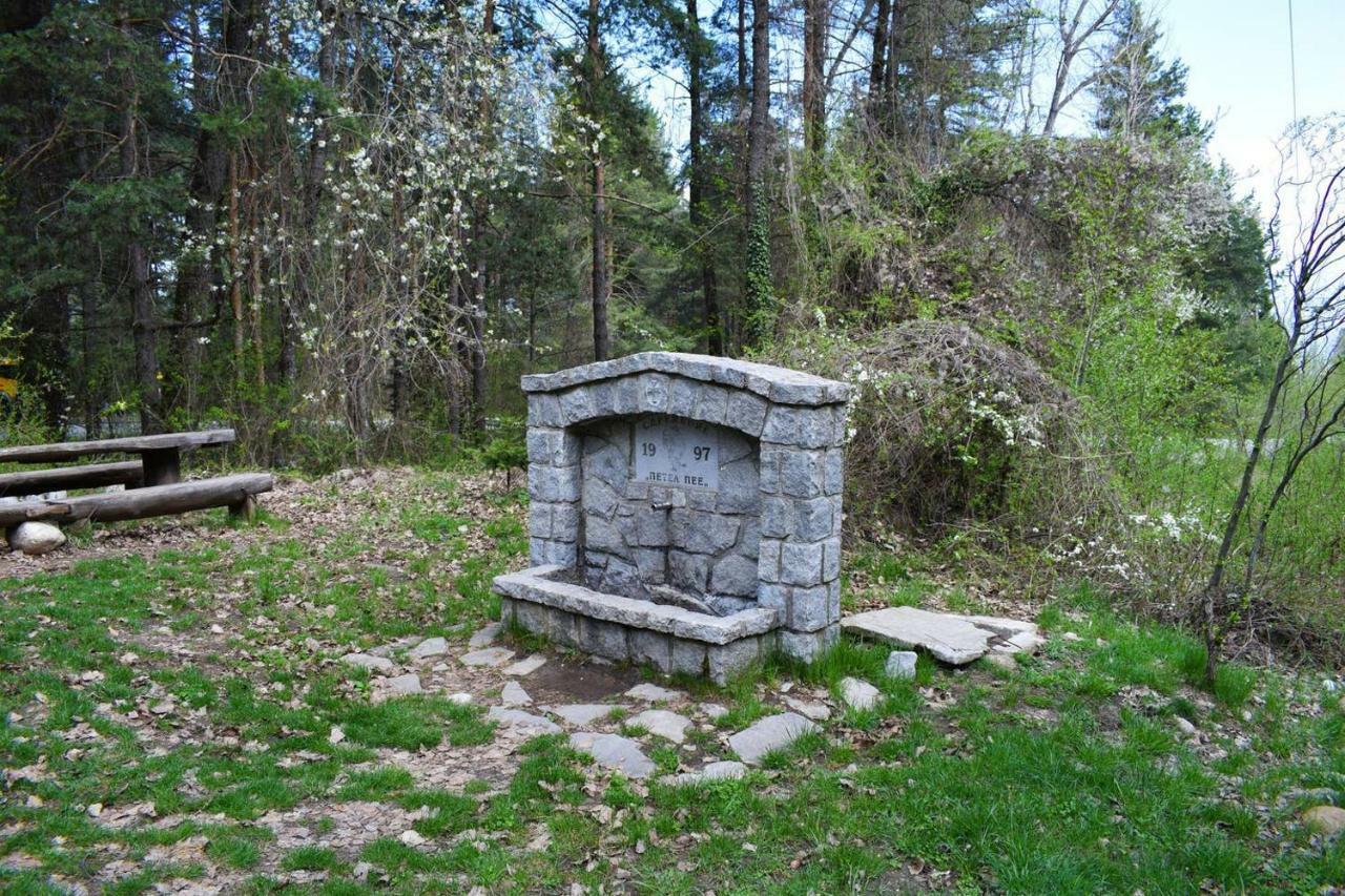 Detelina Residence Bansko Dış mekan fotoğraf