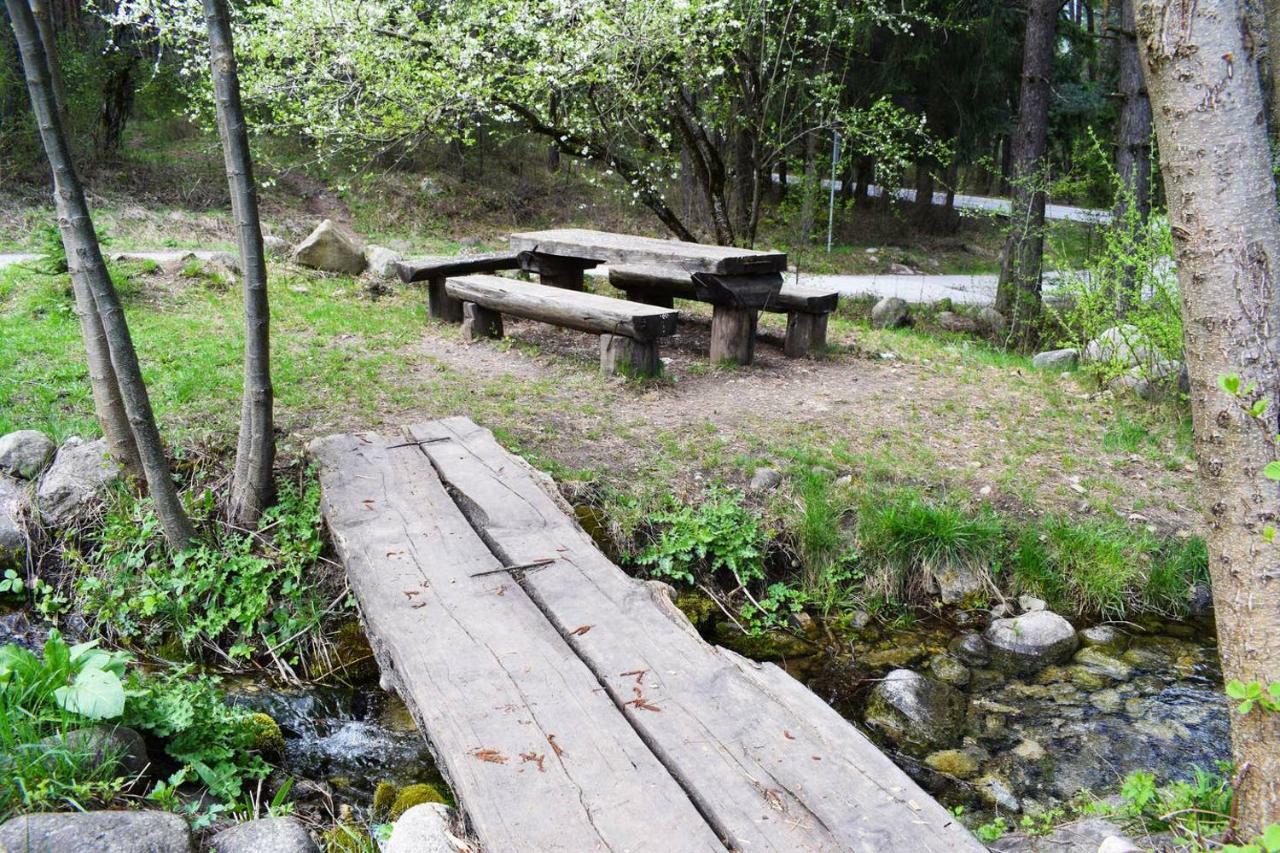 Detelina Residence Bansko Dış mekan fotoğraf